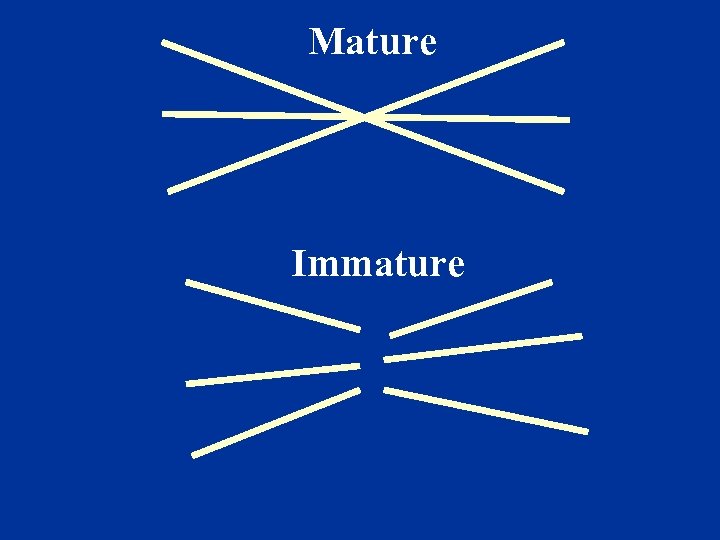 Mature Immature 