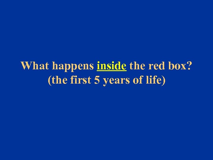 What happens inside the red box? (the first 5 years of life) 