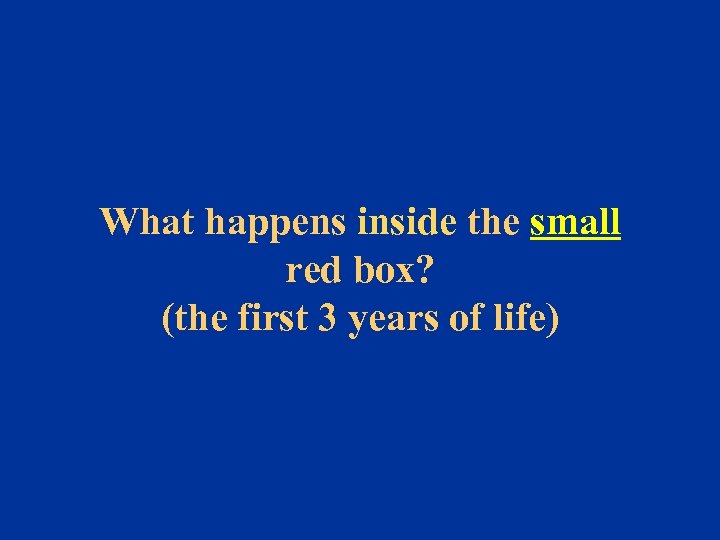 What happens inside the small red box? (the first 3 years of life) 
