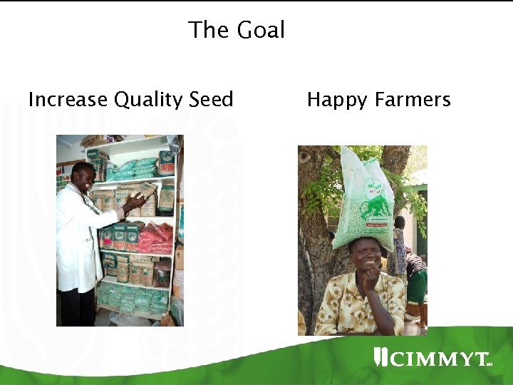 The Goal Increase Quality Seed Happy Farmers 
