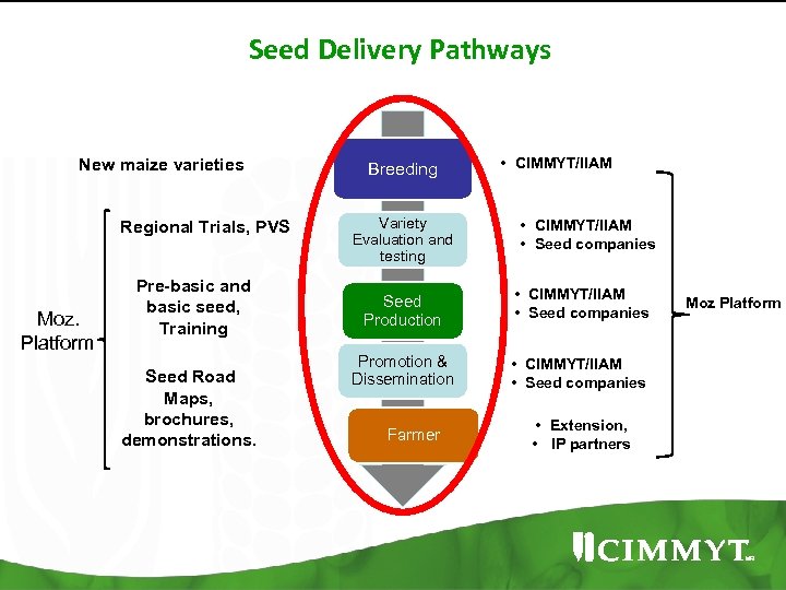 Seed Delivery Pathways New maize varieties Regional Trials, PVS Moz. Platform Pre-basic and basic