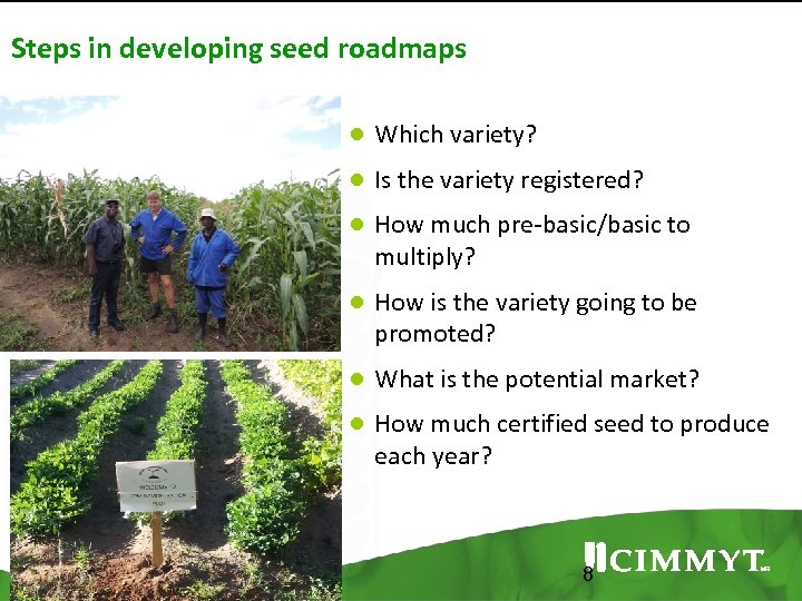 Steps in developing seed roadmaps ● Which variety? ● Is the variety registered? ●