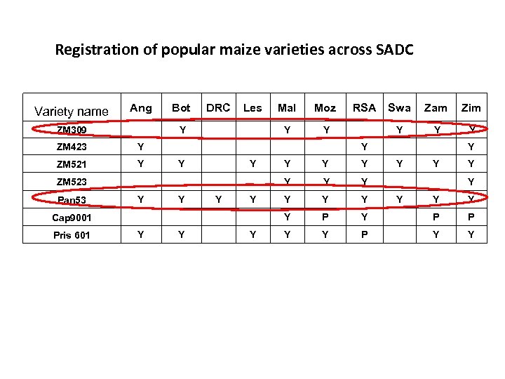 Registration of popular maize varieties across SADC Variety name Ang Bot DRC Les Mal