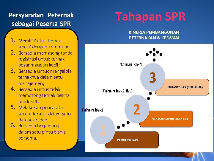 Tahapan SPR Persyaratan Peternak sebagai Peserta SPR 1. 2. 3. 4. 5. 6. Memiliki