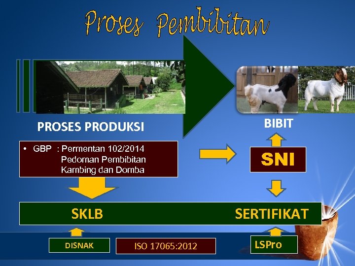 PROSES PRODUKSI BIBIT • GBP : Permentan 102/2014 Pedoman Pembibitan Kambing dan Domba SNI