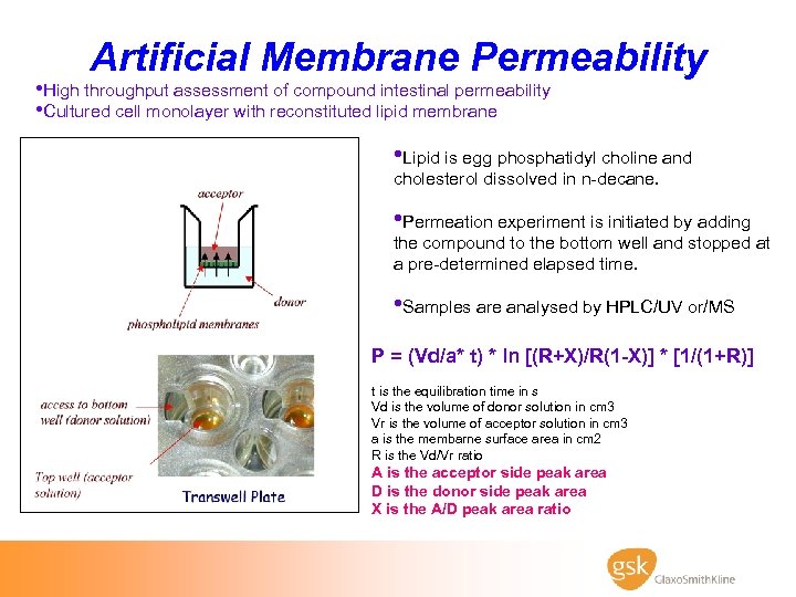 Artificial Membrane Permeability • High throughput assessment of compound intestinal permeability • Cultured cell