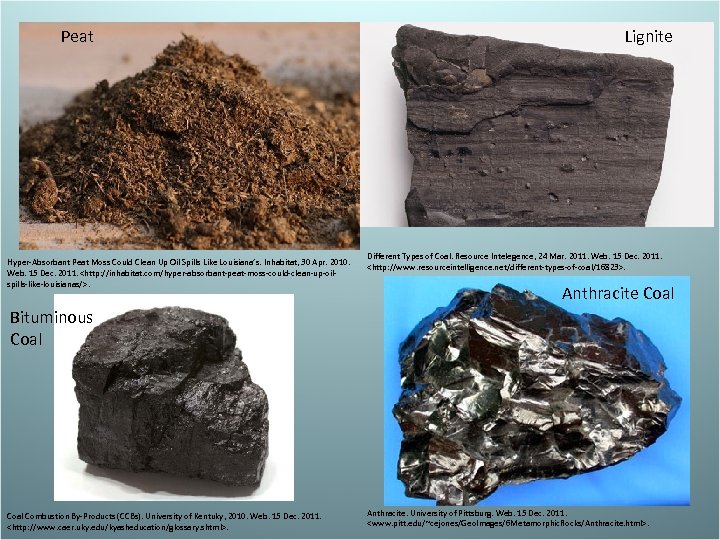 Peat Hyper-Absorbant Peat Moss Could Clean Up Oil Spills Like Louisiana’s. Inhabitat, 30 Apr.