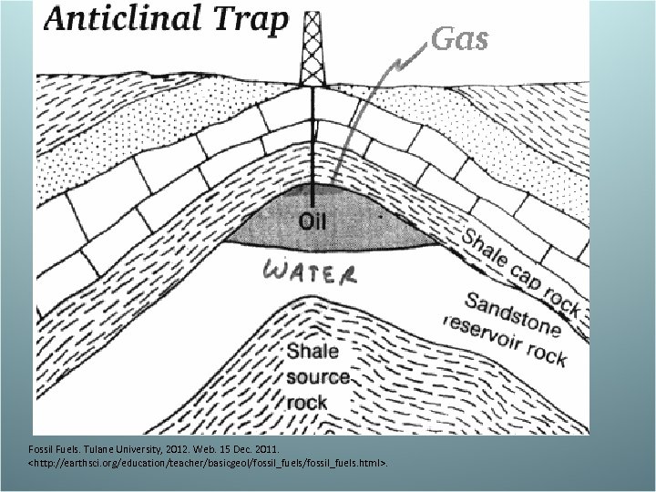 Fossil Fuels. Tulane University, 2012. Web. 15 Dec. 2011. <http: //earthsci. org/education/teacher/basicgeol/fossil_fuels. html>. 