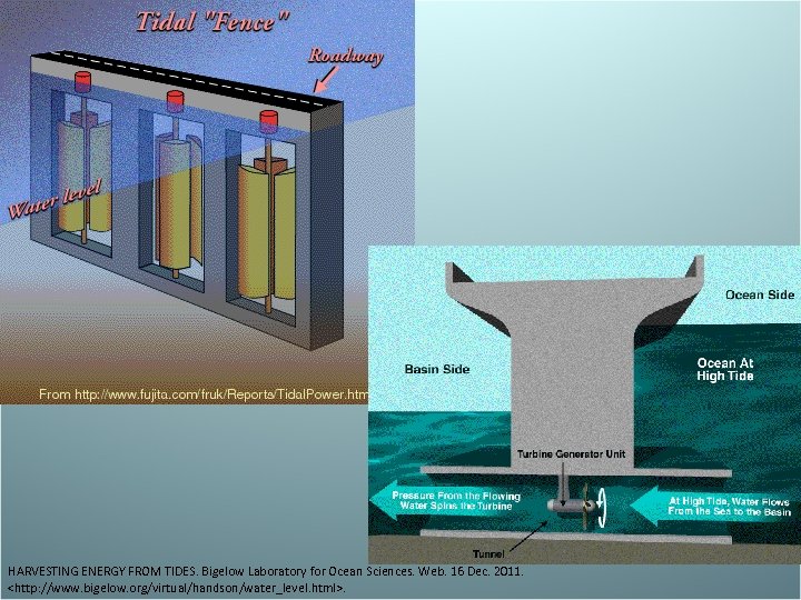 HARVESTING ENERGY FROM TIDES. Bigelow Laboratory for Ocean Sciences. Web. 16 Dec. 2011. <http: