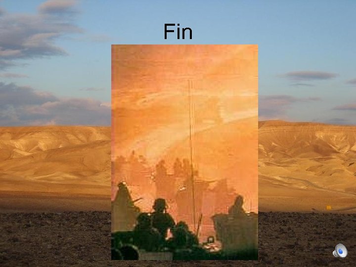 Fin 