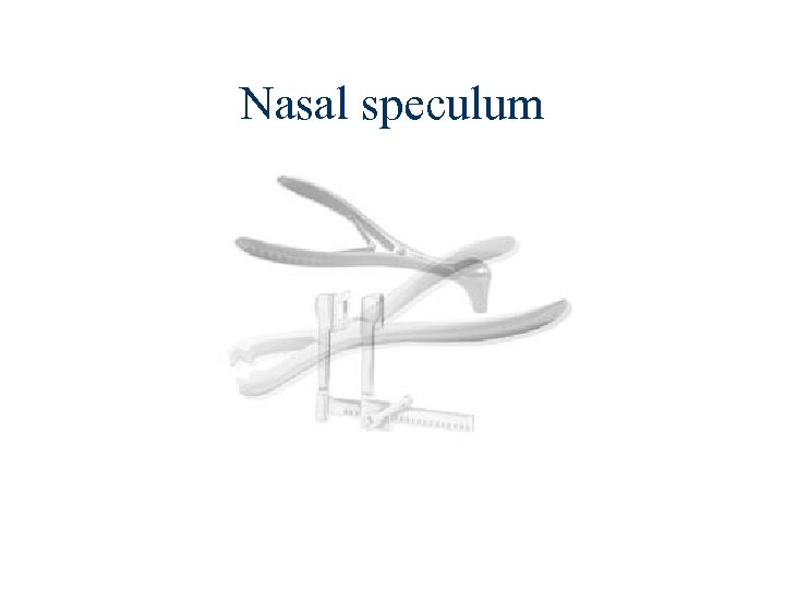 Nasal speculum 