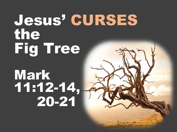 Jesus’ CURSES the Fig Tree Mark 11: 12 -14, 20 -21 