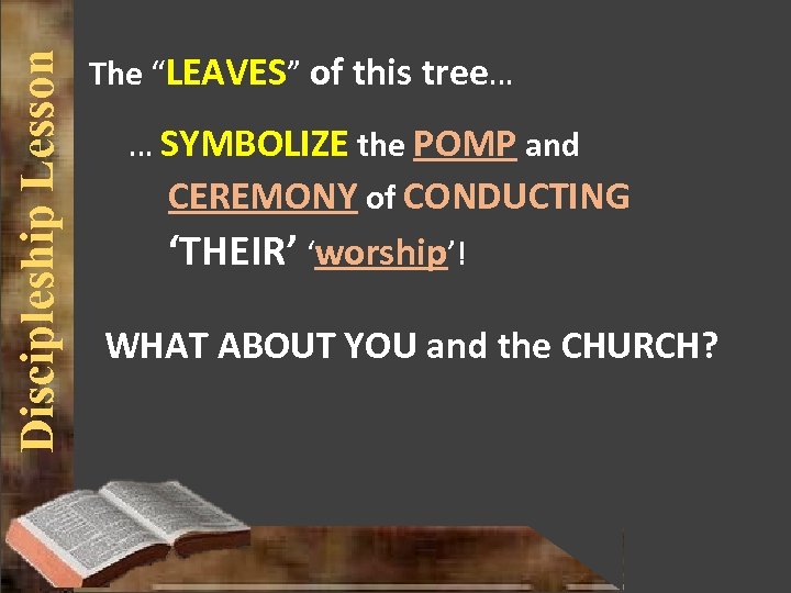 Discipleship Lesson The “LEAVES” of this tree… … SYMBOLIZE the POMP and CEREMONY of