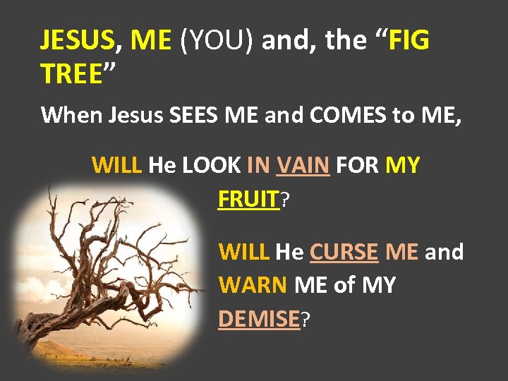 JESUS, ME (YOU) and, the “FIG TREE” When Jesus SEES ME and COMES to