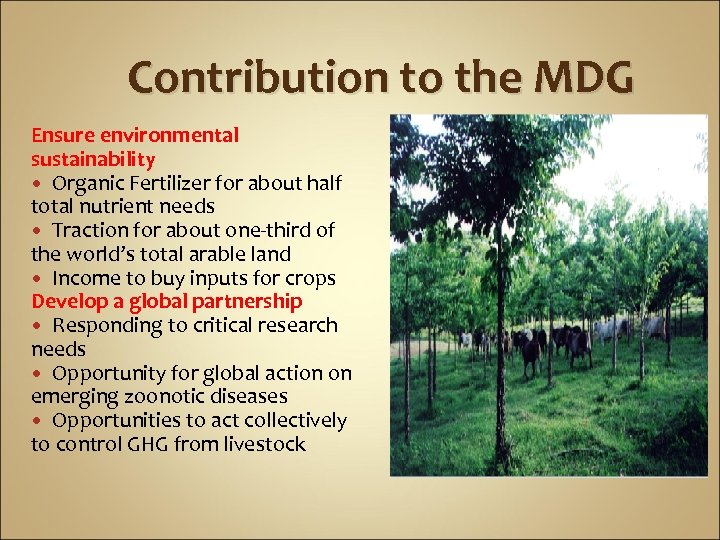 Contribution to the MDG Ensure environmental sustainability Organic Fertilizer for about half total nutrient