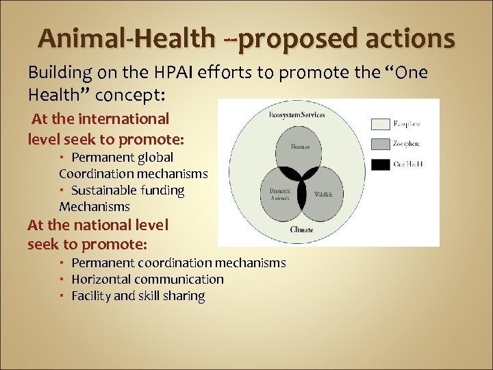 Animal-Health --proposed actions Building on the HPAI efforts to promote the “One Health” concept: