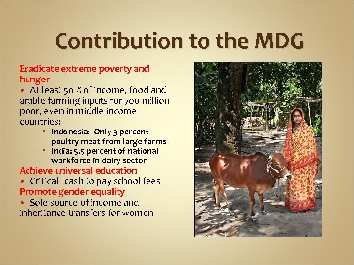 Contribution to the MDG Eradicate extreme poverty and hunger At least 50 % of