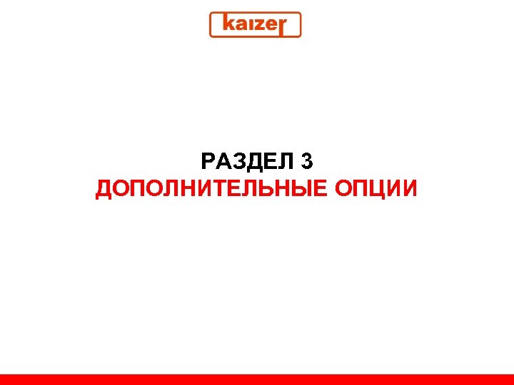 РАЗДЕЛ 3 ДОПОЛНИТЕЛЬНЫЕ ОПЦИИ 