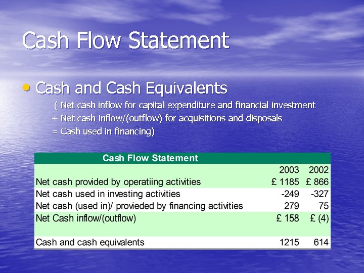 Cash Flow Statement • Cash and Cash Equivalents ( Net cash inflow for capital
