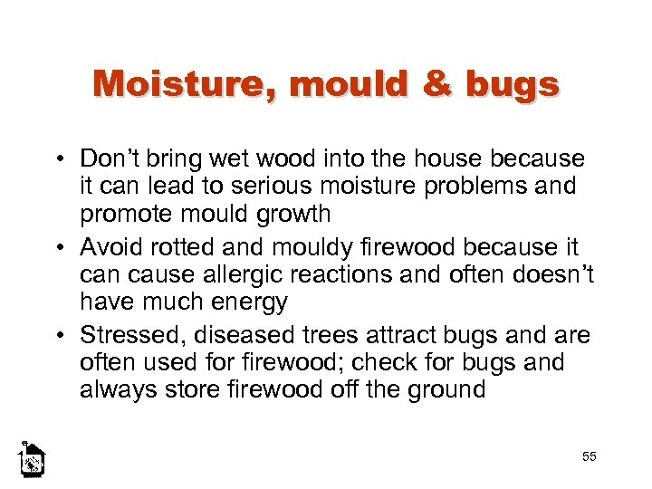 Moisture, mould & bugs • Don’t bring wet wood into the house because it