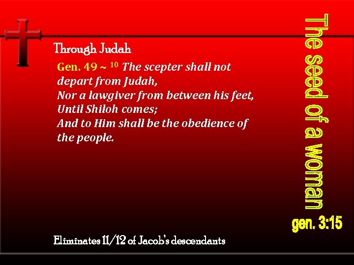 Through Judah Gen. 49 ~ 10 The scepter shall not depart from Judah, Nor