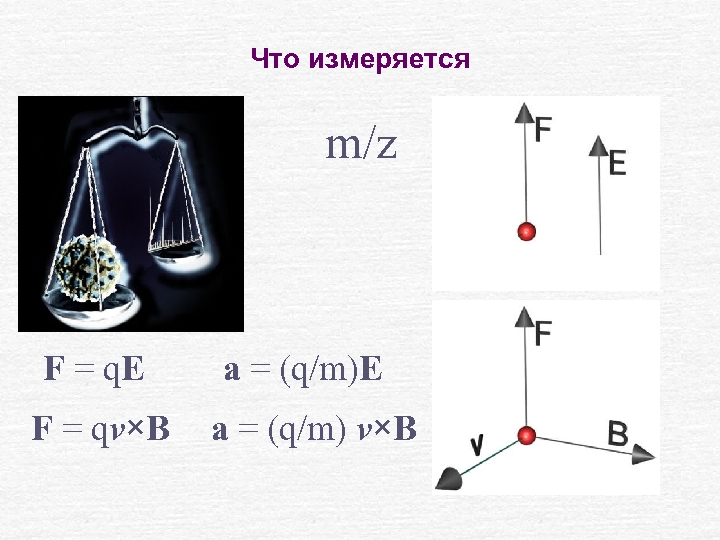 Что измеряется m/z F = q. E F = qv×B a = (q/m)E a