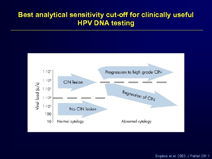 Best analytical sensitivity cut-off for clinically useful HPV DNA testing Snijders et al. 2003.