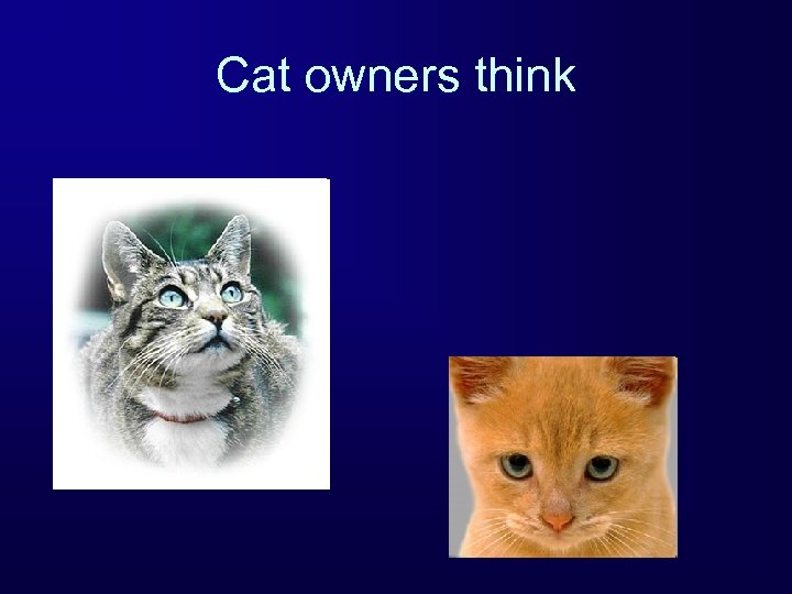 Cat owners think 
