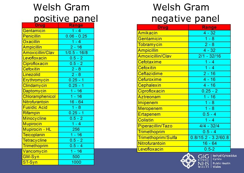 Welsh Gram positive panel Welsh Gram negative panel 