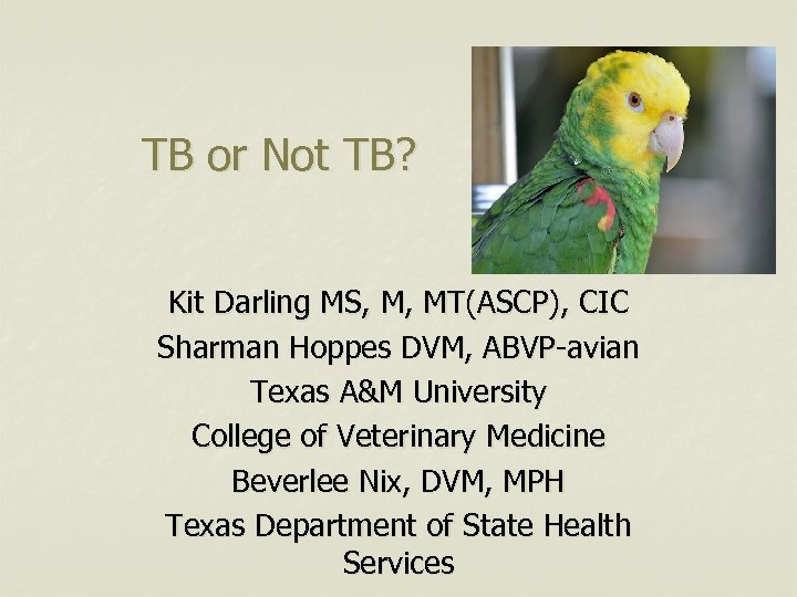 TB or Not TB? Kit Darling MS, M, MT(ASCP), CIC Sharman Hoppes DVM, ABVP-avian