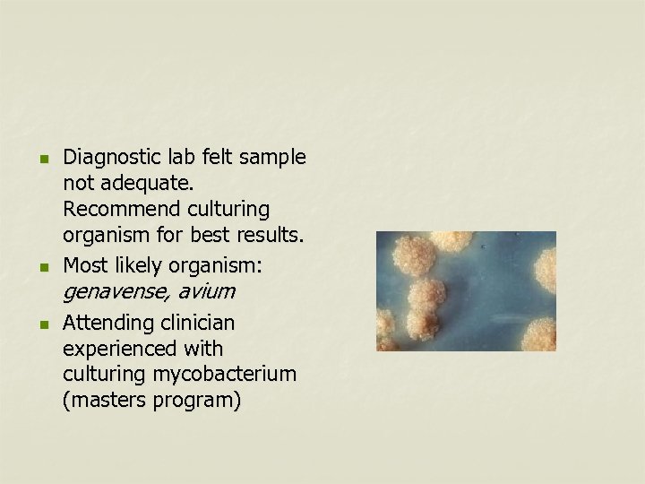 n n n Diagnostic lab felt sample not adequate. Recommend culturing organism for best