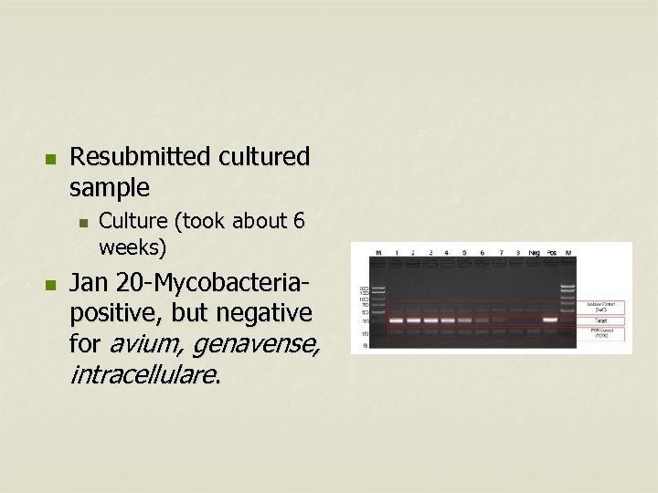 n Resubmitted cultured sample n n Culture (took about 6 weeks) Jan 20 -Mycobacteriapositive,