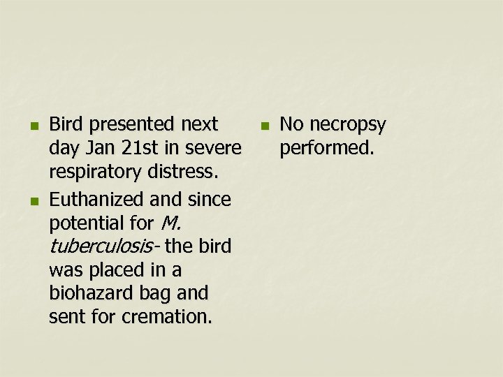 n n Bird presented next day Jan 21 st in severe respiratory distress. Euthanized