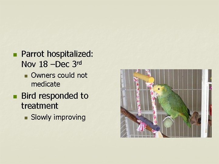 n Parrot hospitalized: Nov 18 –Dec 3 rd n n Owners could not medicate