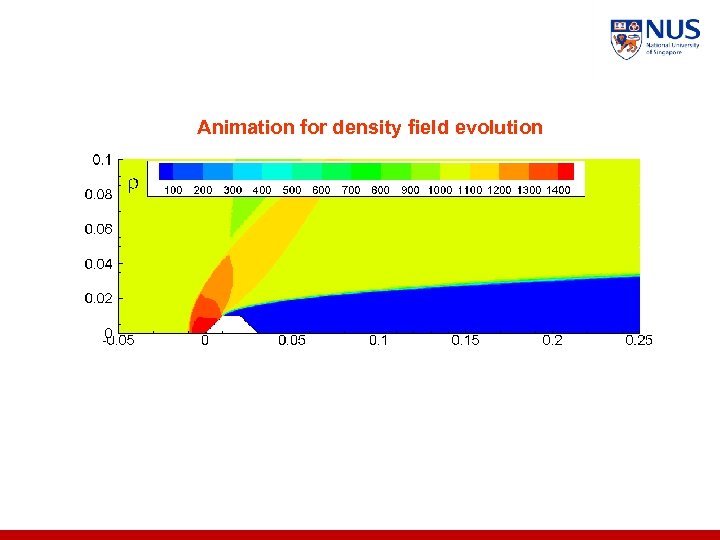 Animation for density field evolution 