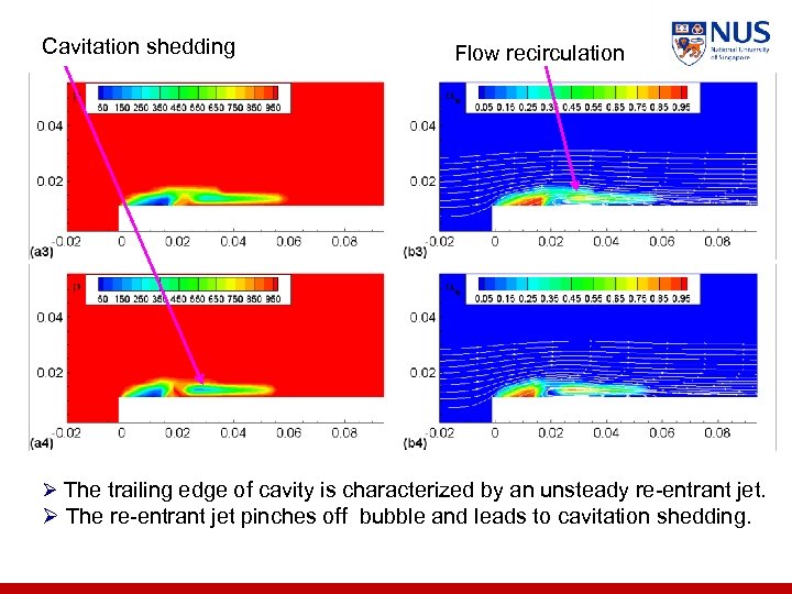 Cavitation shedding Flow recirculation Ø The trailing edge of cavity is characterized by an