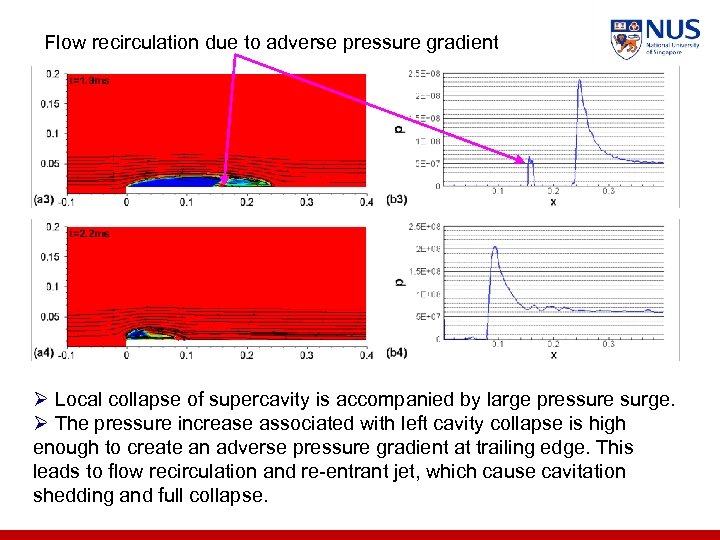 Flow recirculation due to adverse pressure gradient Ø Local collapse of supercavity is accompanied
