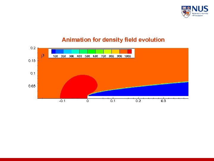 Animation for density field evolution 
