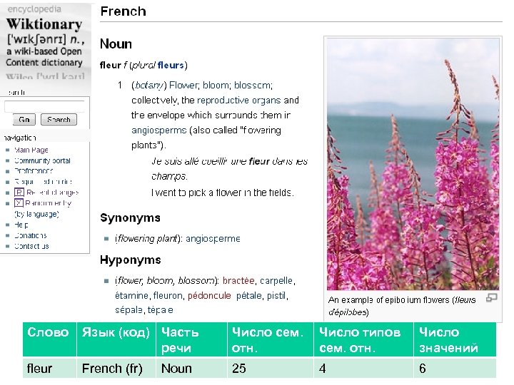 (фрагмент) Слово Язык (код) Часть речи Число сем. отн. Число типов сем. отн. Число