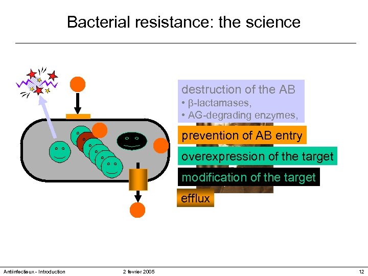 Bacterial resistance: the science What have we seen in less than 100 years. .