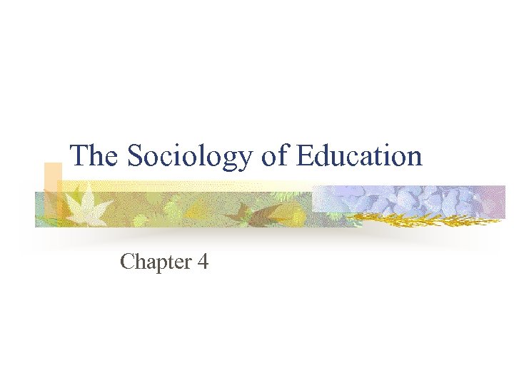 The Sociology of Education Chapter 4 