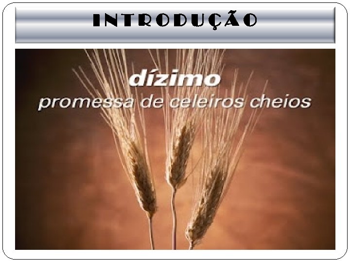 INTRODUÇÃO 