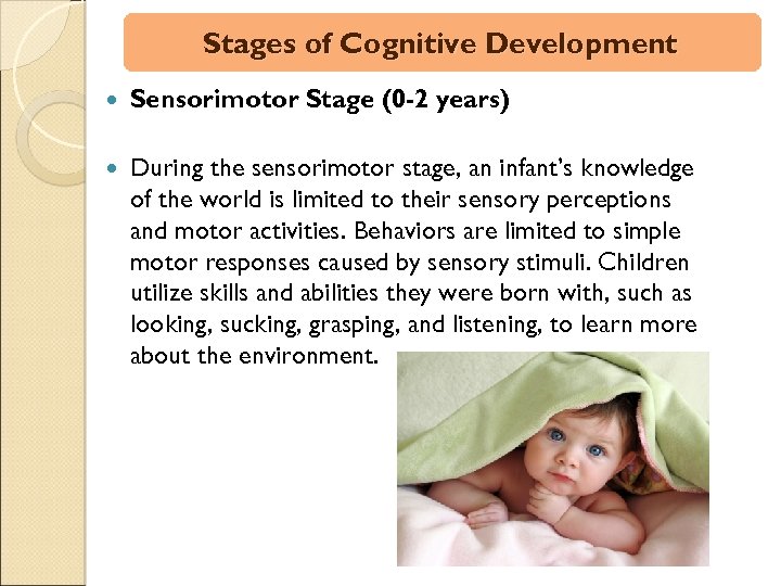 Stages of Cognitive Development Sensorimotor Stage (0 -2 years) During the sensorimotor stage, an