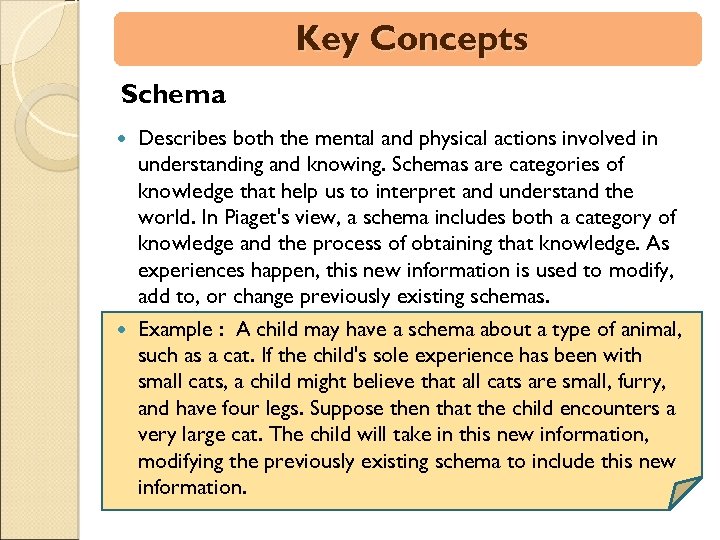 Key Concepts Schema Describes both the mental and physical actions involved in understanding and