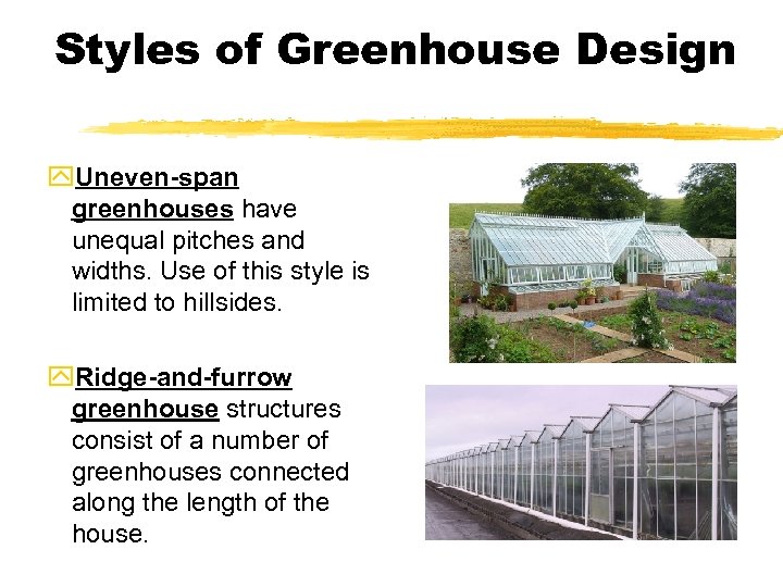 Styles of Greenhouse Design y. Uneven-span greenhouses have unequal pitches and widths. Use of