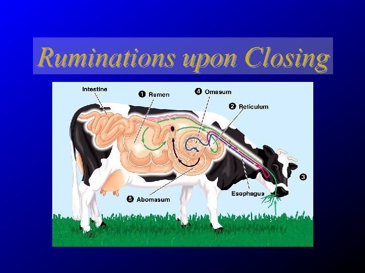 Ruminations upon Closing 