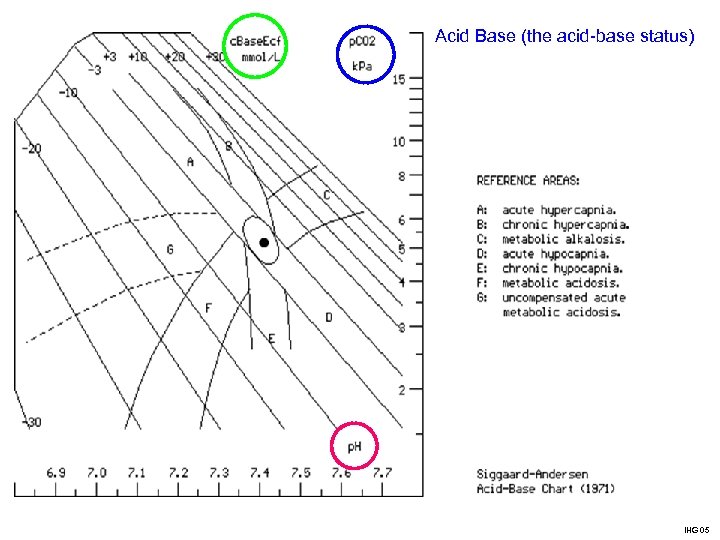 Acid Base (the acid-base status) IHG 05 