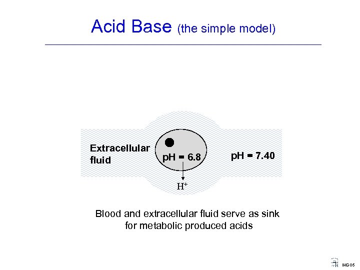 Acid Base (the simple model) ____________________________________ Extracellular fluid p. H = 6. 8 p.