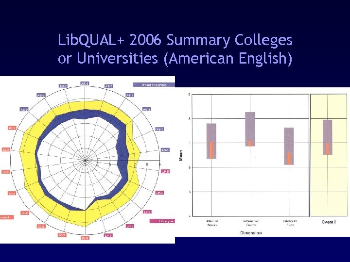 Lib. QUAL+ 2006 Summary Colleges or Universities (American English) 