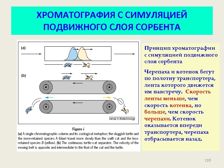 ХРОМАТОГРАФИЯ С СИМУЛЯЦИЕЙ ПОДВИЖНОГО СЛОЯ СОРБЕНТА Принцип хроматографии с симуляцией подвижного слоя сорбента Черепаха
